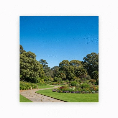 Lush greenery and scenic walking path in the Adelaide Botanic Garden